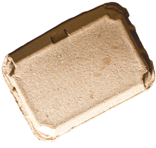 electrao_ondereciclar_mitos_embalagem.png