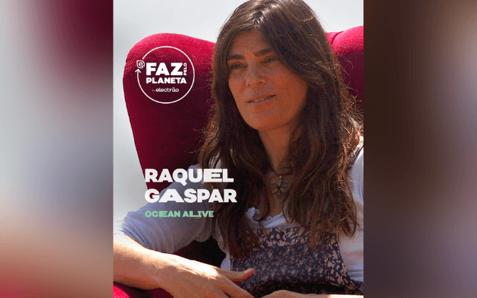 imagens-mfpp-9png